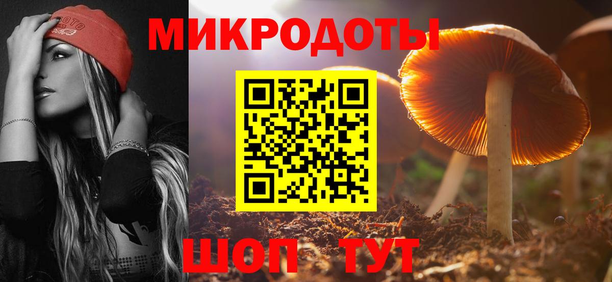 Бахчисарай  Псилоцибиновые грибы прущие грибы  Вход с VPN 